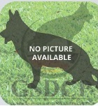 Image not found